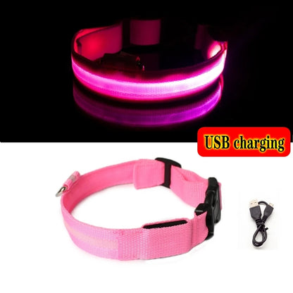 LED Dog Collar Light for Pets - USB Rechargeable