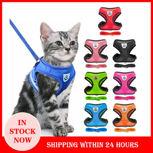 Adjustable Cat & Dog Harness with Leash