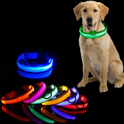 LED Dog Collar Light for Pets - USB Rechargeable