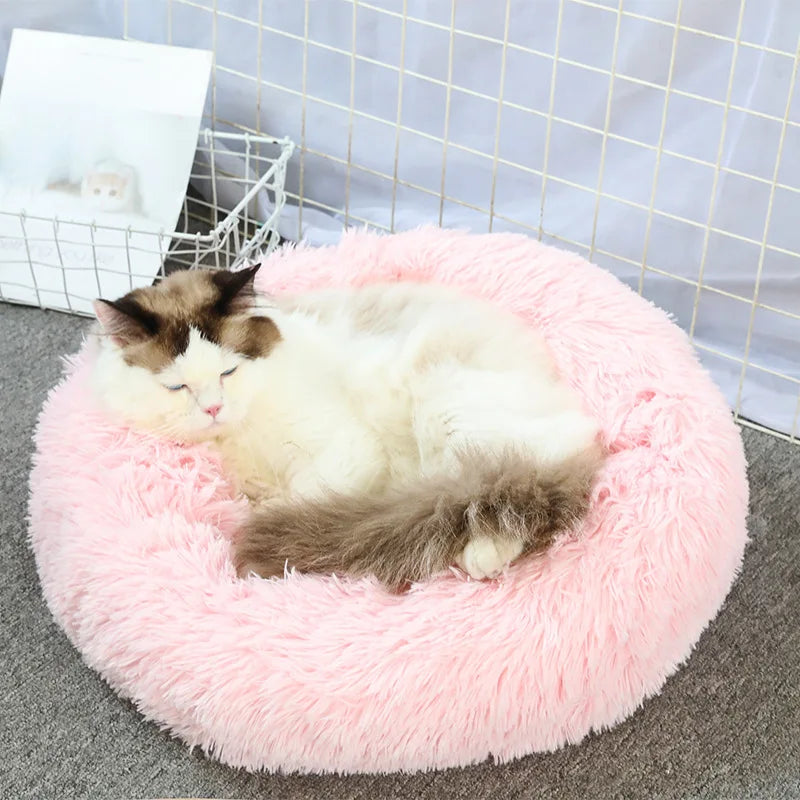 Plush Donut Cat Bed - Ultimate Comfort