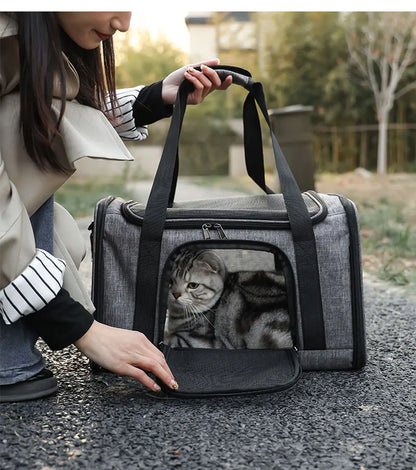 Foldable Pet Travel Carrier Backpack