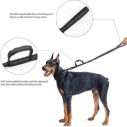 Tactical Dog Collar with AirTag Holder