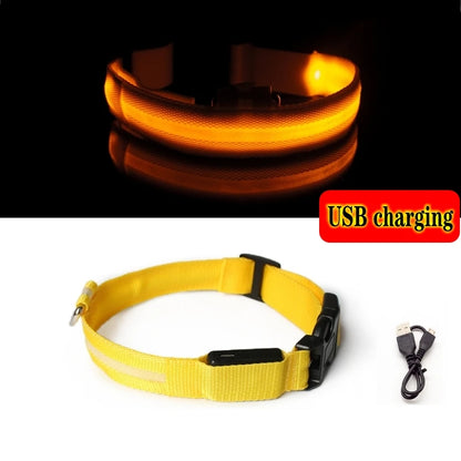 LED Dog Collar Light for Pets - USB Rechargeable