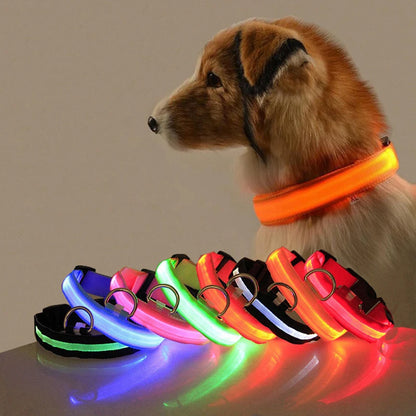 LED Dog Collar Light for Pets - USB Rechargeable