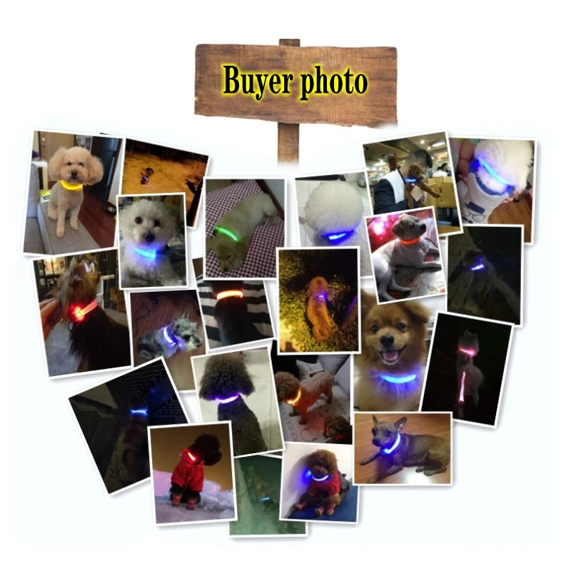 LED Dog Collar Light for Pets - USB Rechargeable