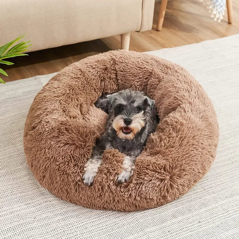 Plush Donut Cat Bed - Ultimate Comfort