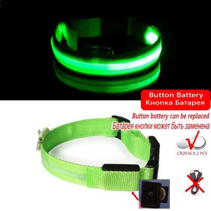 LED Dog Collar Light for Pets - USB Rechargeable