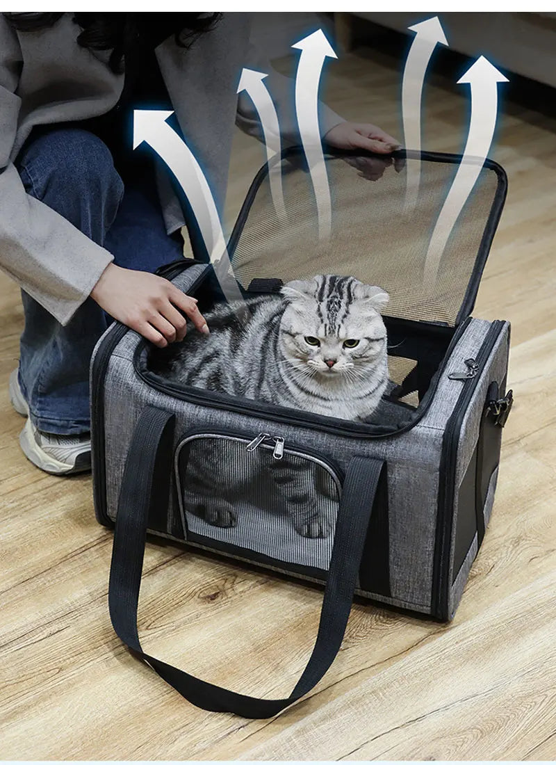 Foldable Pet Travel Carrier Backpack