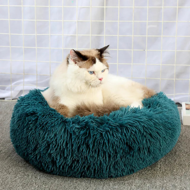 Plush Donut Cat Bed - Ultimate Comfort