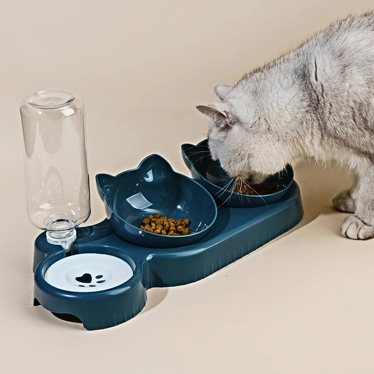 3-in-1 Cat Bowl & Water Feeder