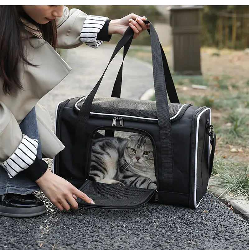 Foldable Pet Travel Carrier Backpack