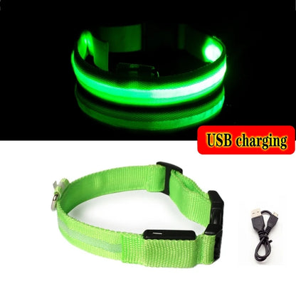 LED Dog Collar Light for Pets - USB Rechargeable