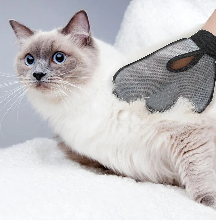 Pet Grooming Glove for Cats & Dogs