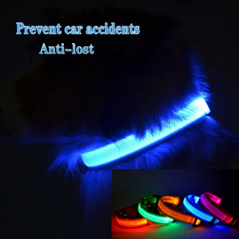 LED Dog Collar Light for Pets - USB Rechargeable