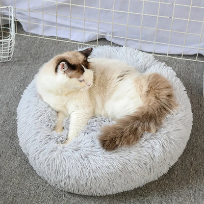 Plush Donut Cat Bed - Ultimate Comfort