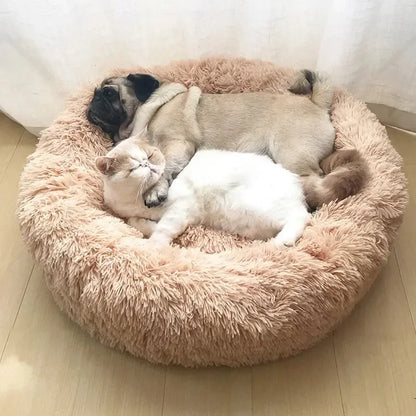 Plush Donut Cat Bed - Ultimate Comfort