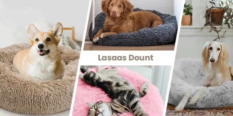 Plush Donut Cat Bed - Ultimate Comfort